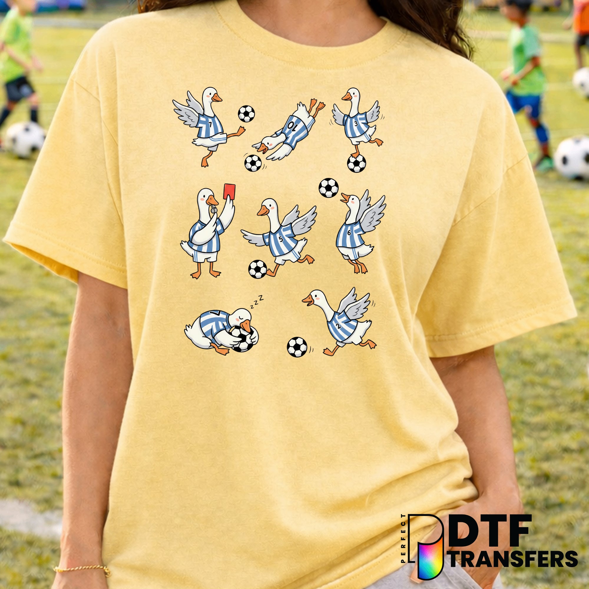 Silly Goose Soccer Ball – Soccer DTF Transfer