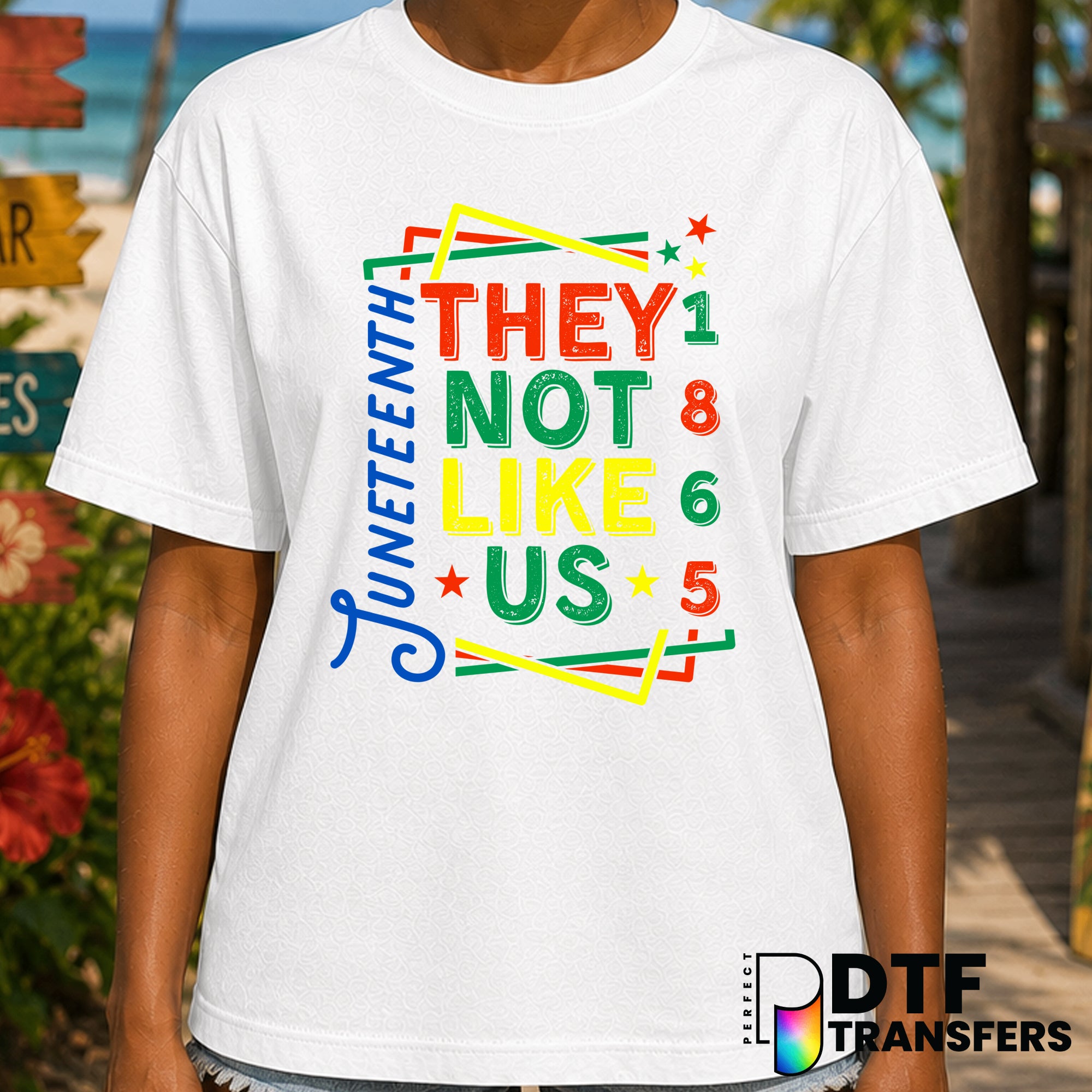 They Not Like Us 1865 Juneteenth – Black History Month DTF Transfer