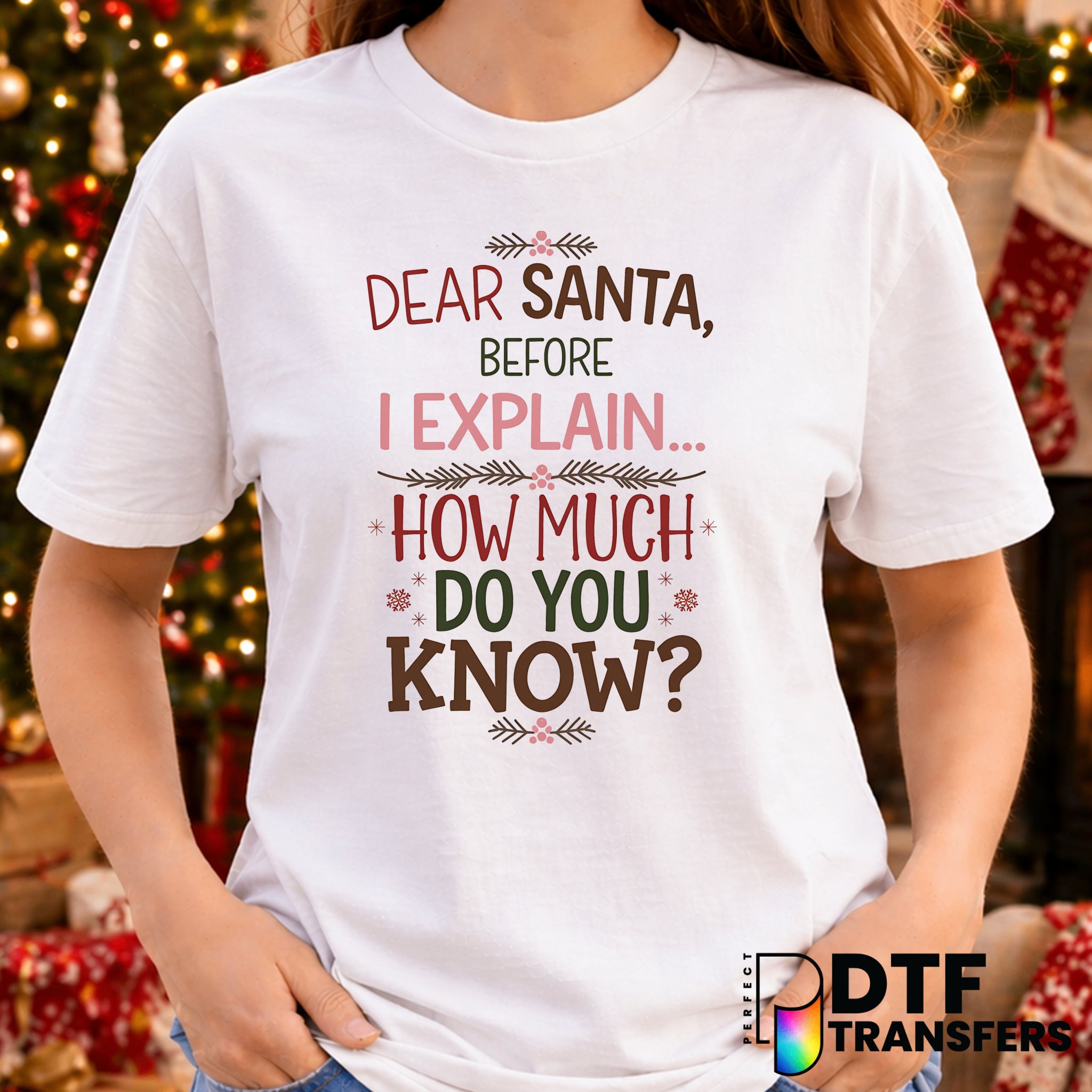 Dear Santa Before I Explain – Christmas DTF Transfer
