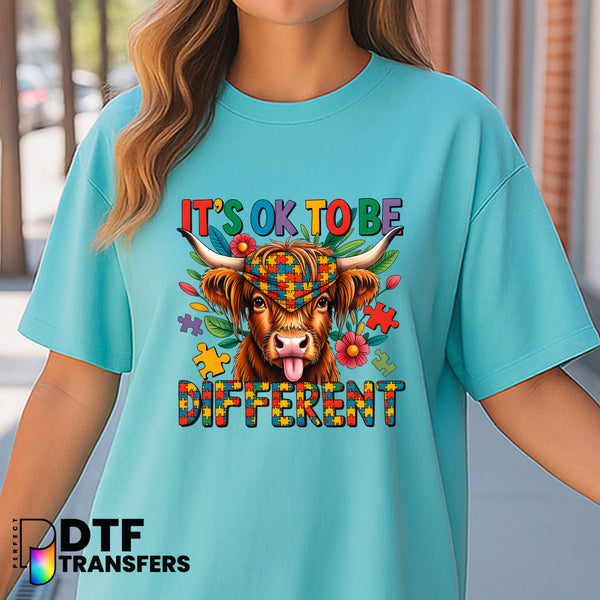It's Okay To Be Different Highland Cow – Special Education DTF Transfer
