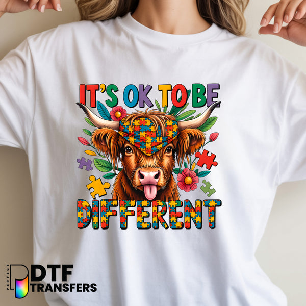 It's Okay To Be Different Highland Cow – Special Education DTF Transfer