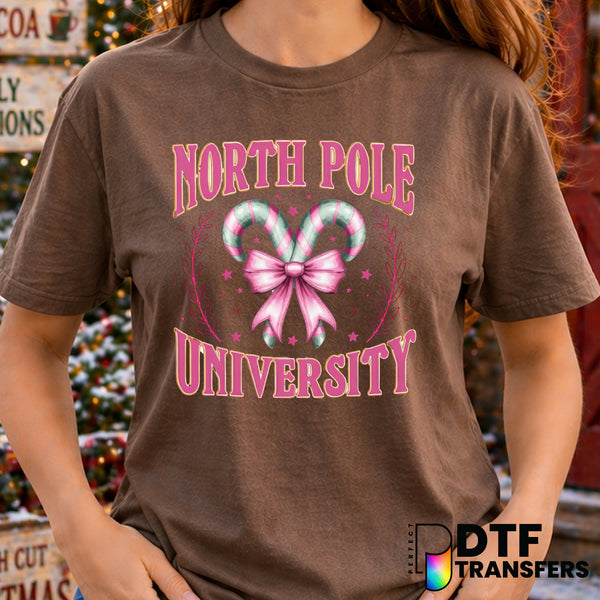 North Pole University Christmas Graduate – Christmas DTF Transfer