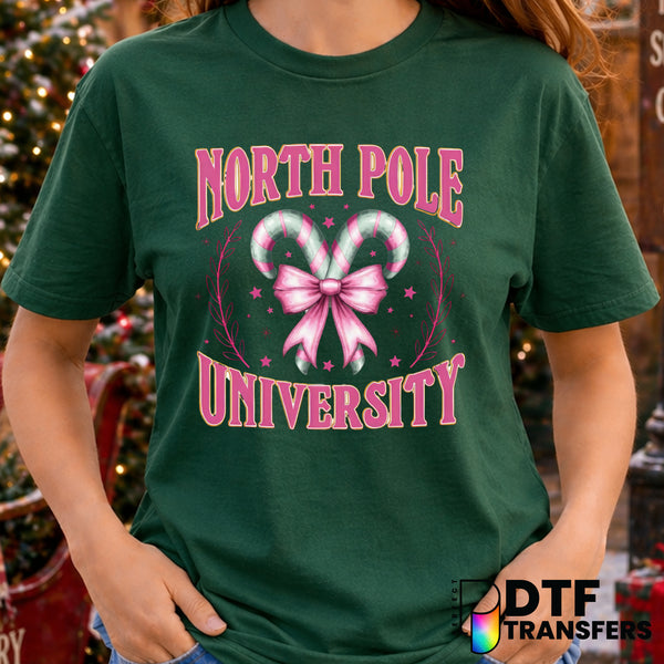 North Pole University Christmas Graduate – Christmas DTF Transfer