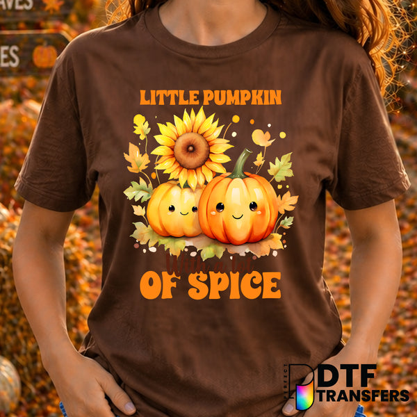 Little Pumpkin With A Lot Of Spice – Thanksgiving DTF Transfer