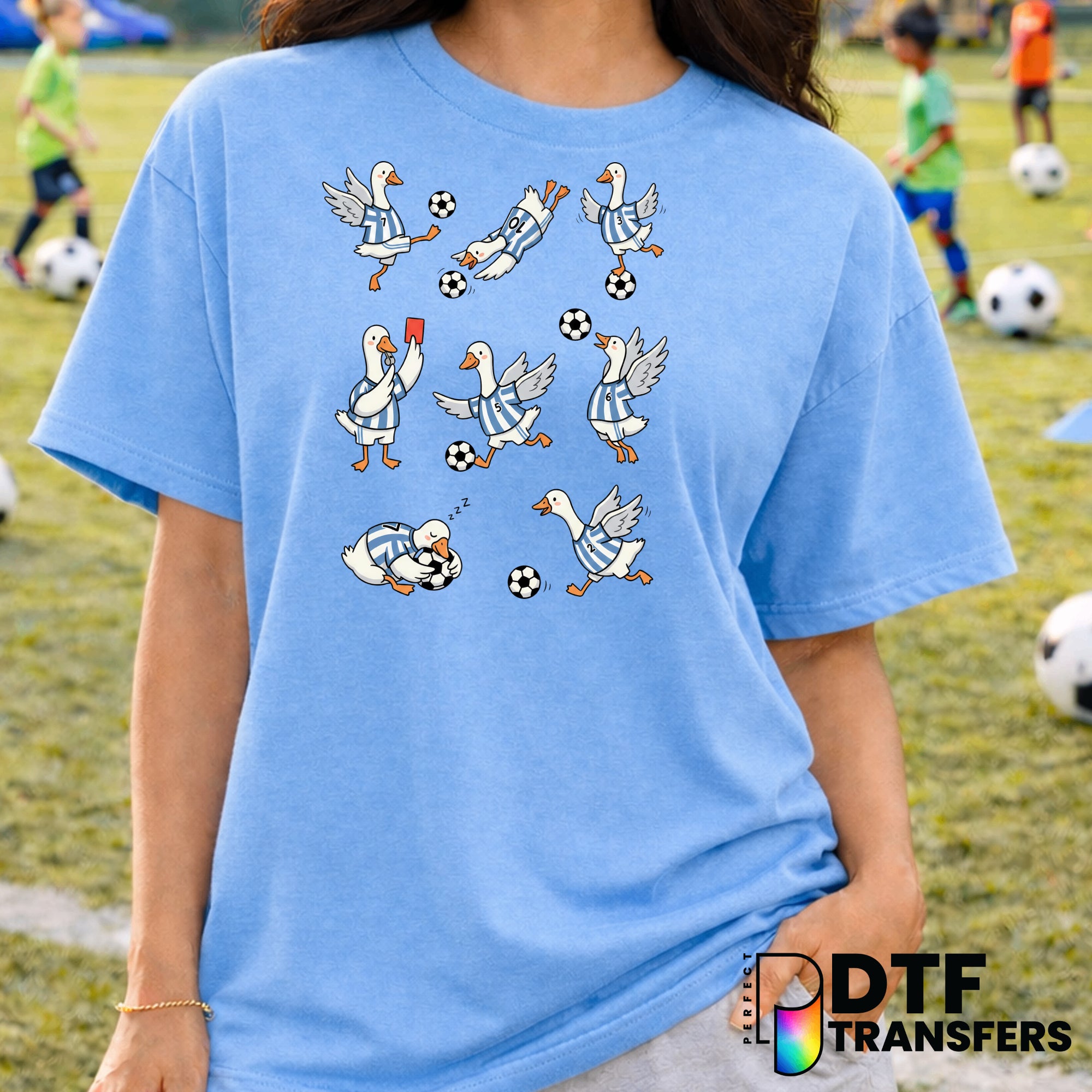 Silly Goose Soccer Ball – Soccer DTF Transfer