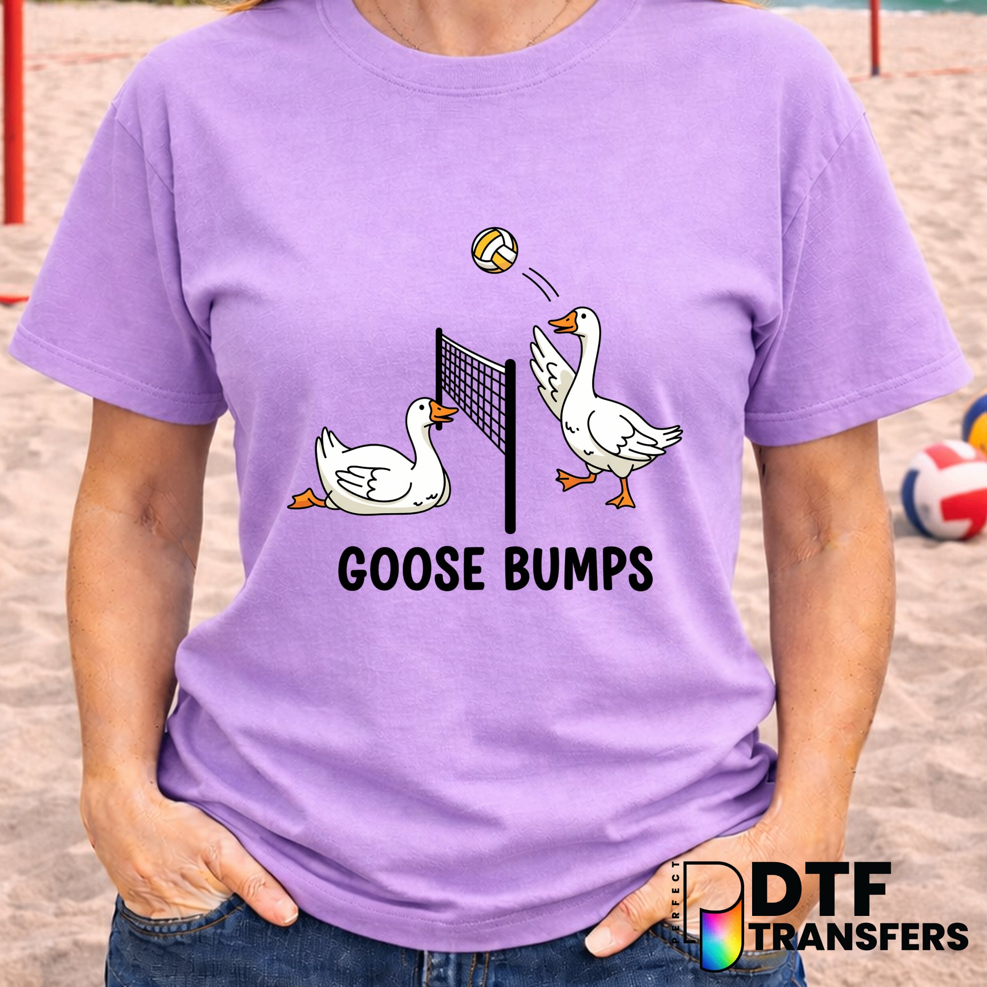Goose Bumps Volleyball – DTF Transfer