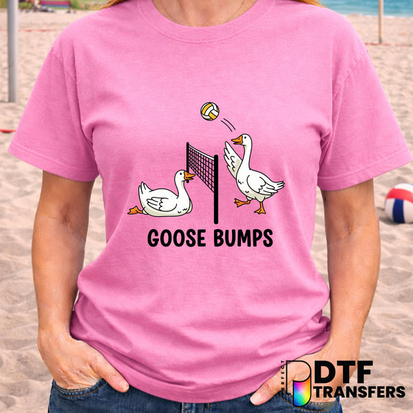 Goose Bumps Volleyball – DTF Transfer