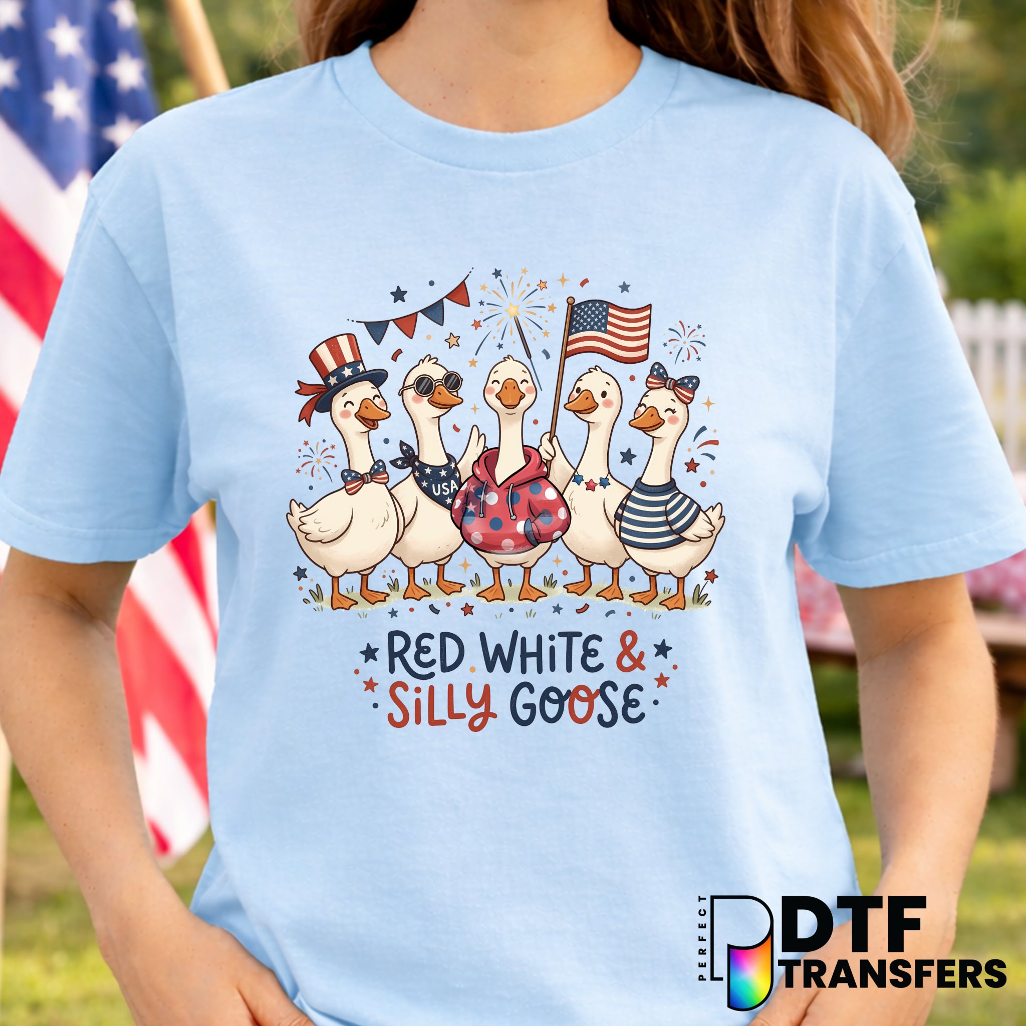 Red White and Silly Goose 4th of July Patriotic – Fourth of July DTF Transfer