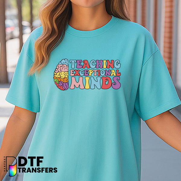 HEALTH CARE HERO SCHOOL NURSE Emblem – School Nurse DTF Transfer