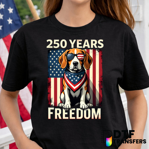 250 YEARS FREEDOM – Fourth of July DTF Transfer