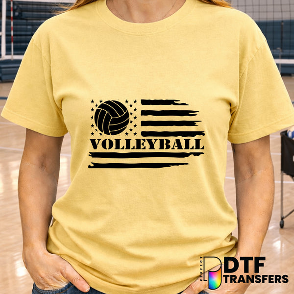 VOLLEYBALL EST. 1895 MICHIGAN VARSITY ATHLETIC CLUB – Volleyball DTF Transfer